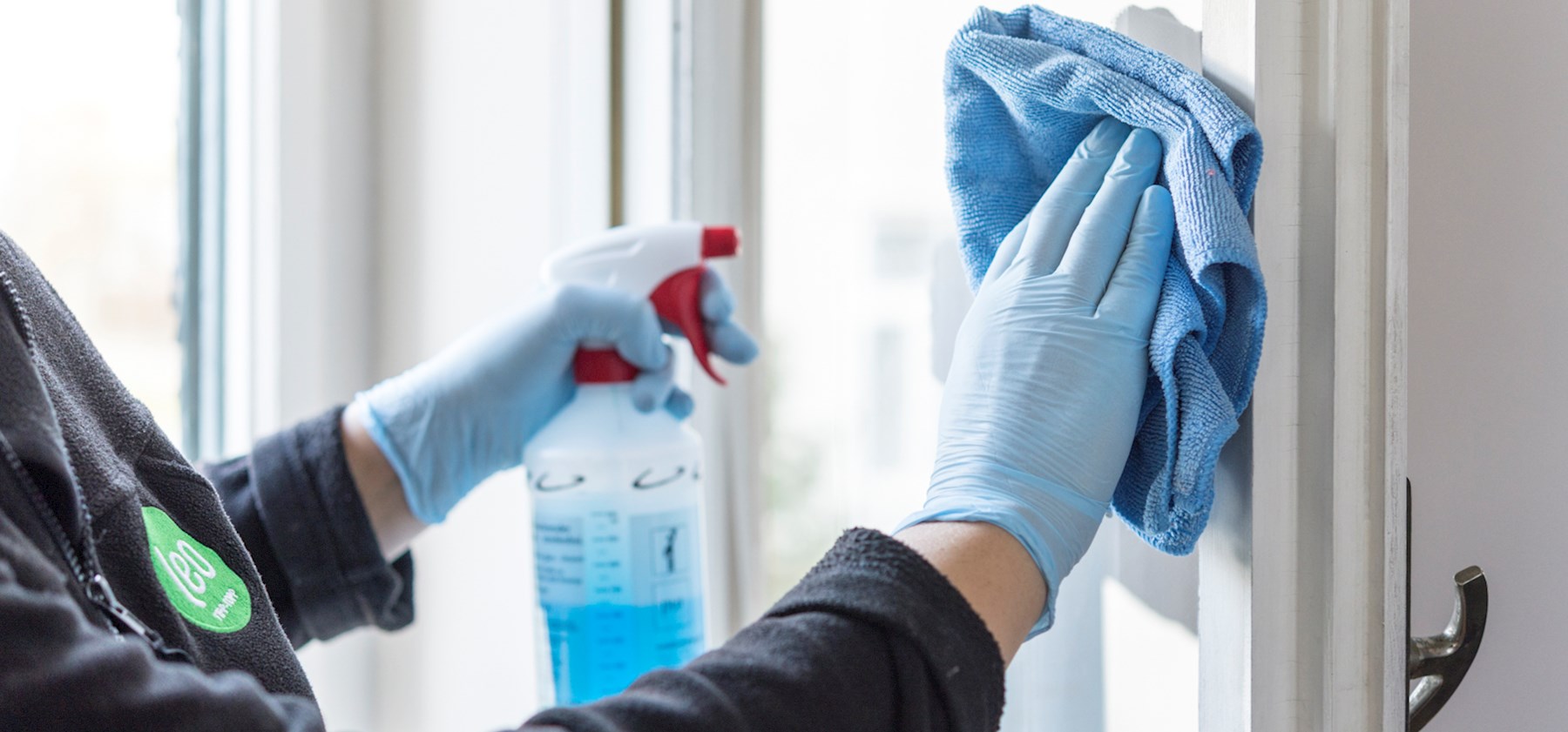 Frau mit hellblauen Einweg-Handschuhen reinigt ein Fenster mit einem Sprühreiniger und einem hellblauen Lappen.