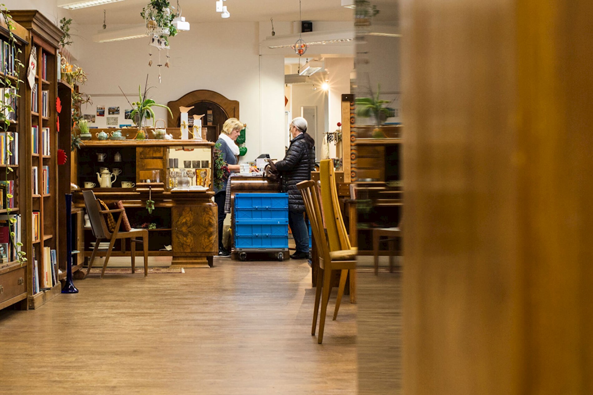 You can see beautiful book shelves made from wood. They are in the Carla shop in Fürstenfeld. In the background, an employee is talking to a customer.